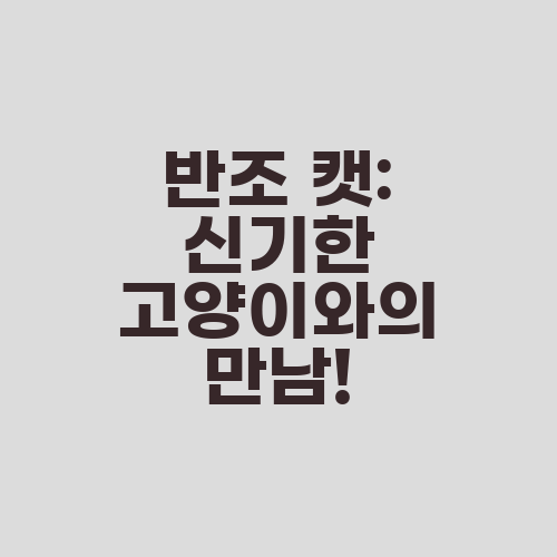반조 캣: 신기한 고양이와의 만남!