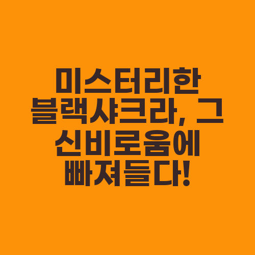 미스터리한 블랙샤크라, 그 신비로움에 빠져들다!