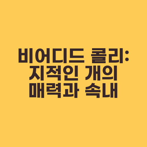 비어디드 콜리: 지적인 개의 매력과 속내