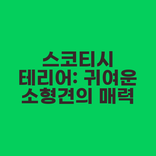 스코티시 테리어: 귀여운 소형견의 매력