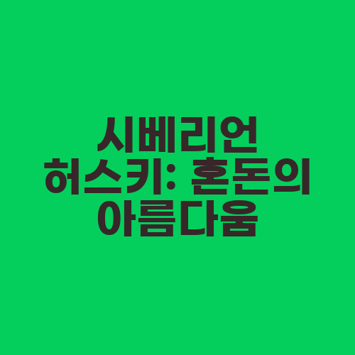 시베리언 허스키: 혼돈의 아름다움