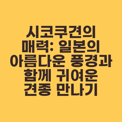 시코쿠견의 매력: 일본의 아름다운 풍경과 함께 귀여운 견종 만나기