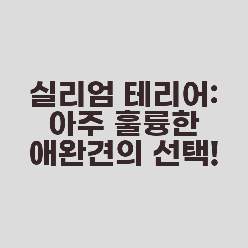 실리엄 테리어: 아주 훌륭한 애완견의 선택!