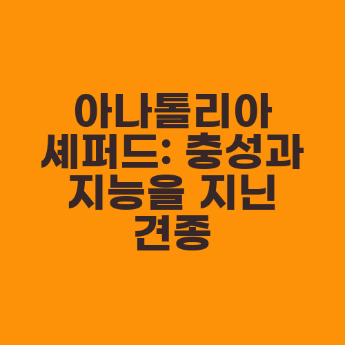 아나톨리아 셰퍼드: 충성과 지능을 지닌 견종