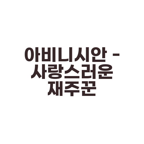 아비니시안 - 사랑스러운 재주꾼