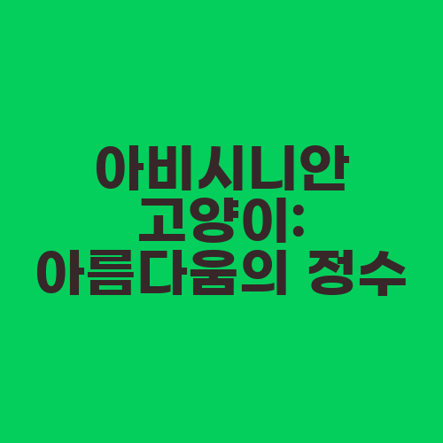 아비시니안 고양이: 아름다움의 정수