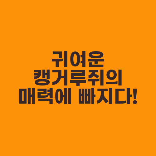 귀여운 캥거루쥐의 매력에 빠지다!
