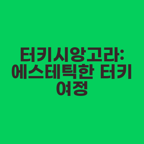 터키시앙고라: 에스테틱한 터키 여정