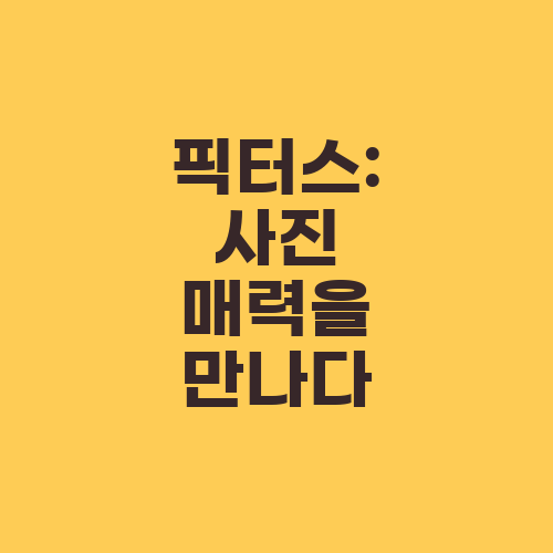 픽터스: 사진 매력을 만나다